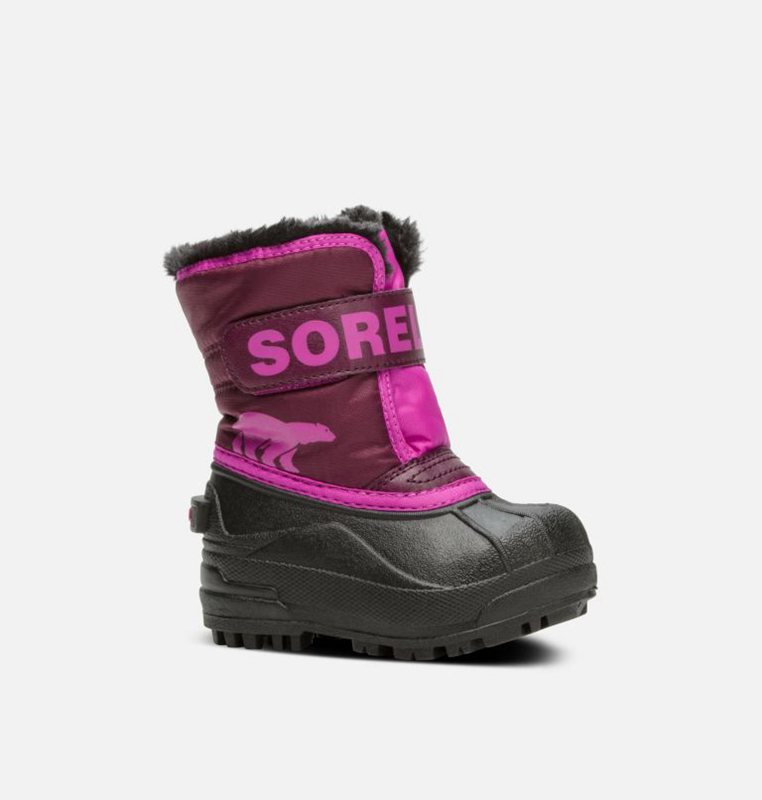 Kids Snow Boots Purple/Pink/Black - Sorel Toddler Commander™ - 640-GNTKFX